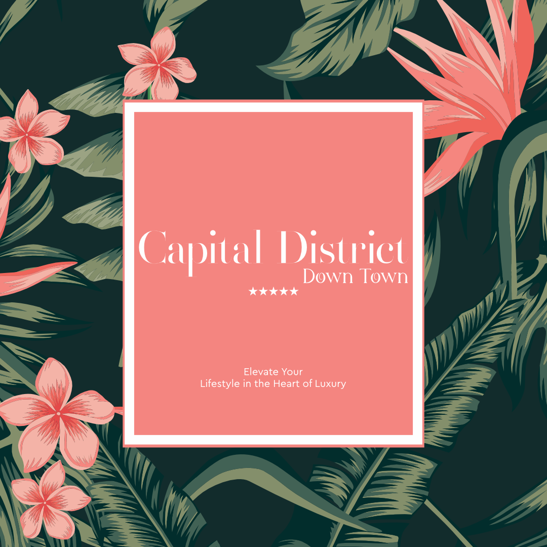 Capital District DownTown