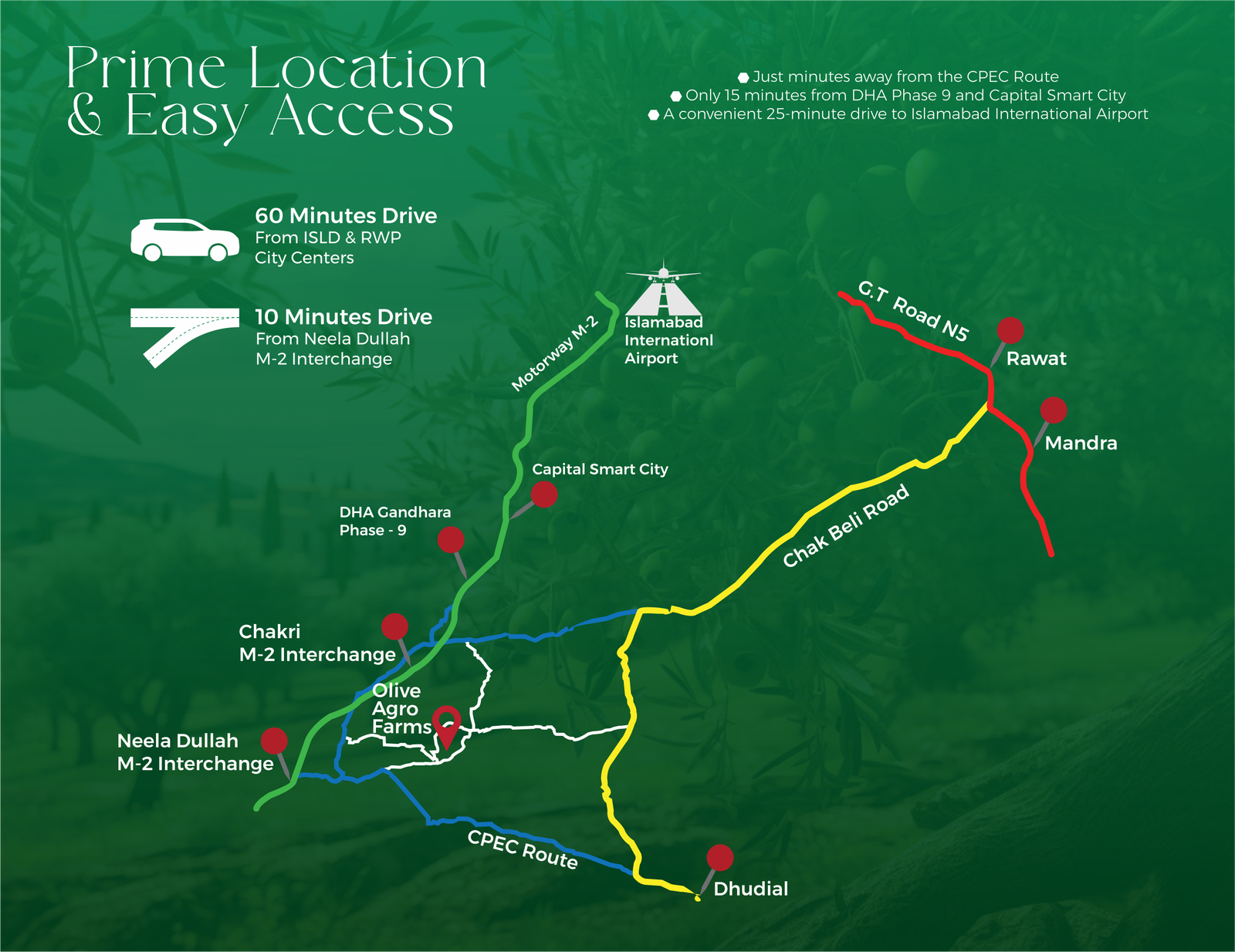 OLIVE AGRO FARMS, Faisal Town